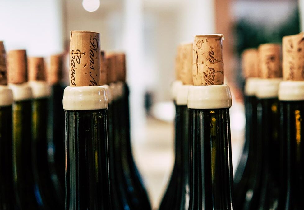 Botellas de vino - El Majuelo de Carlos, Tienda de Vino