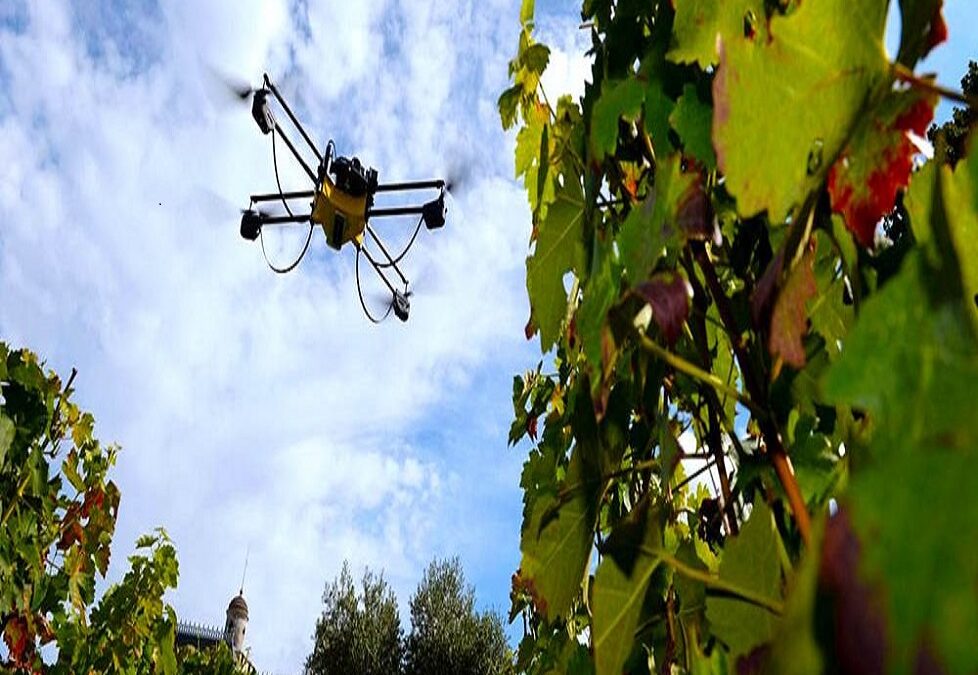 VINO 4.0 O CÓMO LO DIGITAL ESTÁ DANDO NUEVA VIDA AL MUNDO DEL VINO