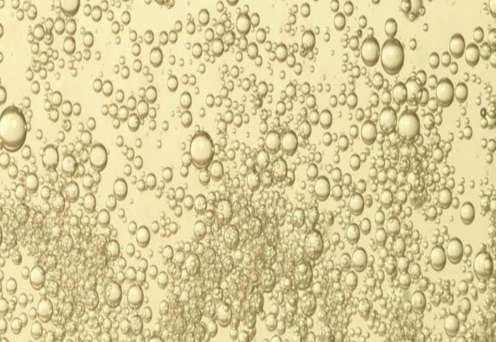 Un poco más sobre el champagne y los vinos espumosos