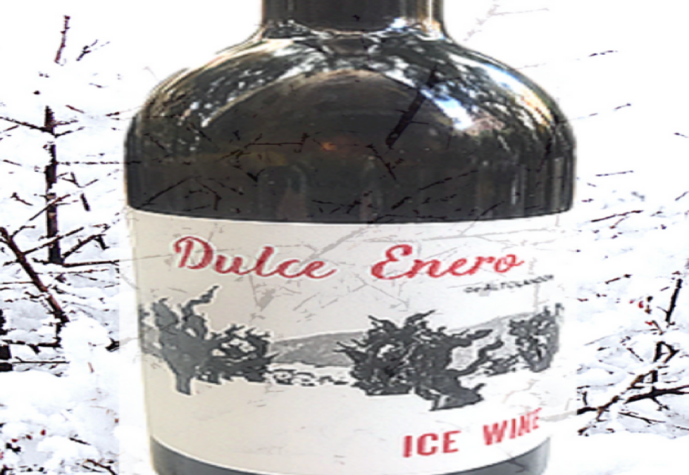 VIDES E INVIERNO, UN MATRIMONIO FRUCTÍFERO: VINO DE INVIERNO