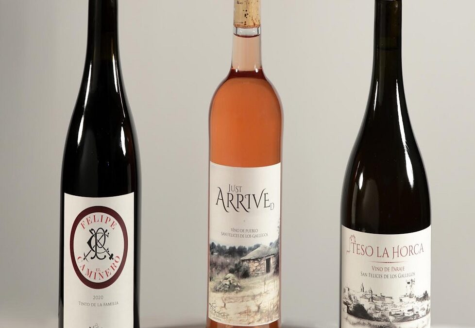 CATA CON INMA BADILLO VITICULTORA