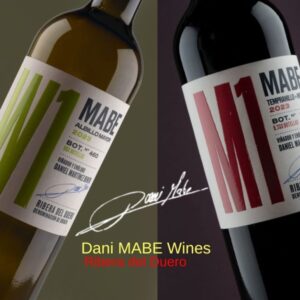 CATA MARIDAJE DANI MABE (RIBERA DEL DUERO)